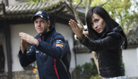 Vettel goes kung fu